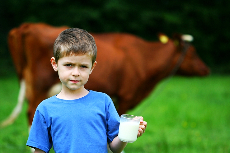 Fotografie (Deti a kravské mlieko? Áno, ale…)